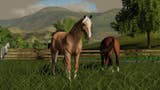Farming Simulator 19 - zwierzęta hodowlane: konie