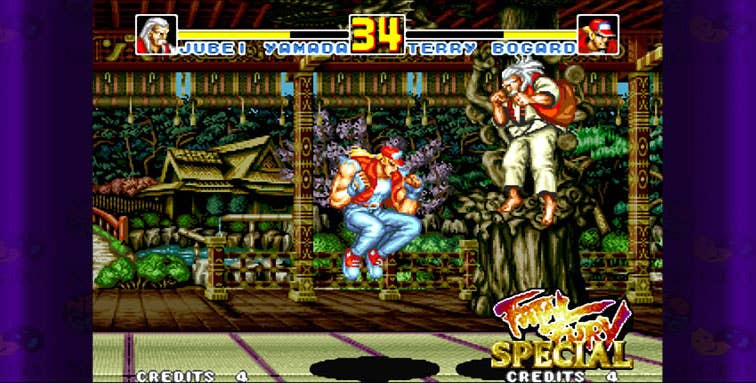 Fatal Fury Special