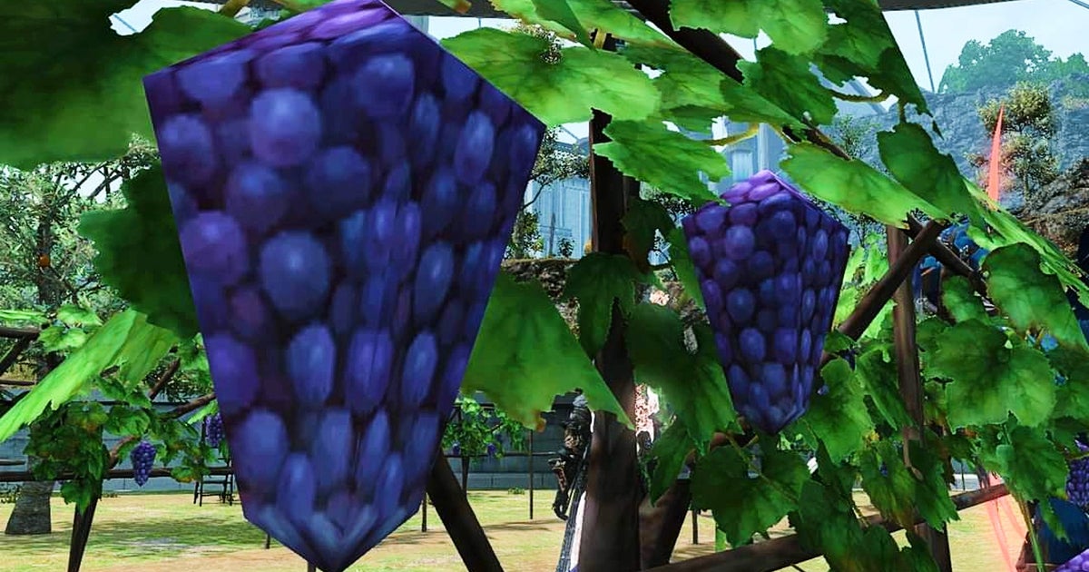 Grapes Garden Xxx Video - Square Enix updates grapes in Final Fantasy 14 | VG247