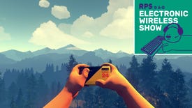 The protagonist of Firewatch looking out over a vista in the national park, holding a disposable camera