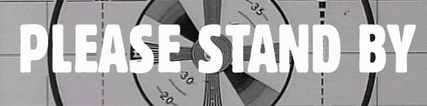 Fallout Online Offline?