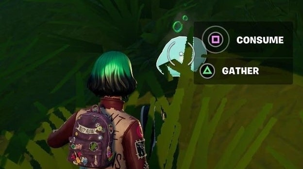 Fortnite Collect foraged items locations Where to forage for food