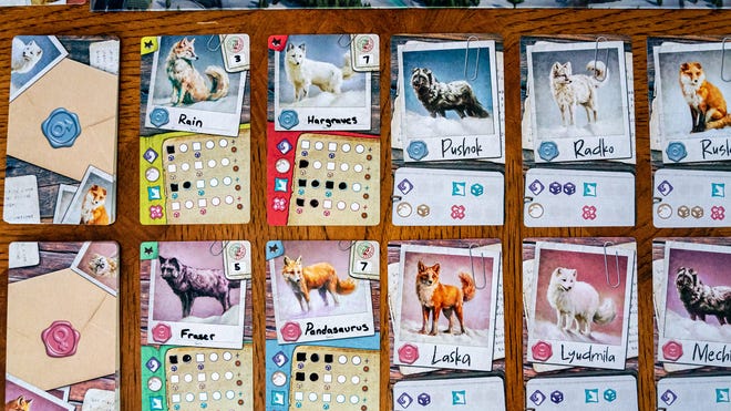 An image of the cards for The Fox Experiment