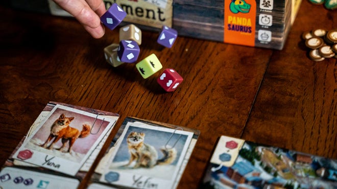 An image of dice being rolled for The Fox Experiment.