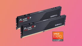 g.skill flare x5 ddr5 ram shown on a coloured background with the AMD Expo memory overclocking profile logo