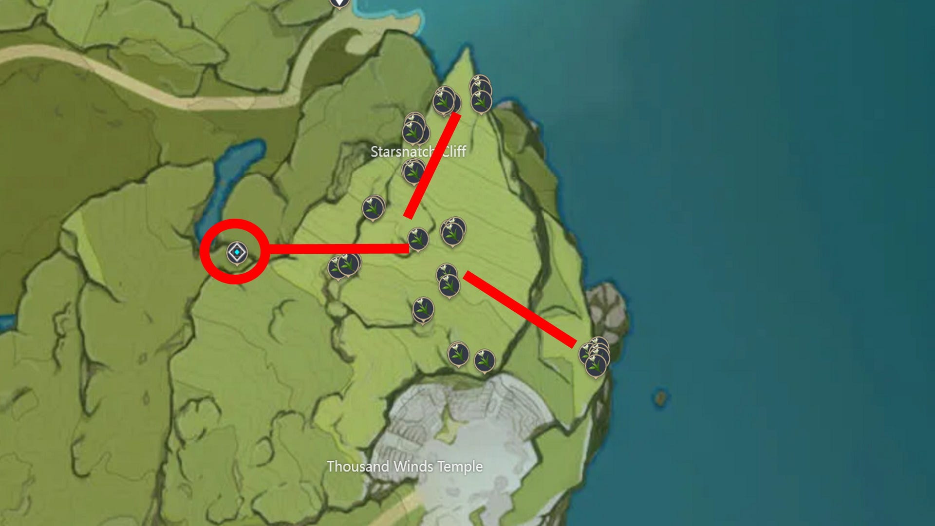 Genshin Impact Cecilia locations and Cecilia farming tips VG247