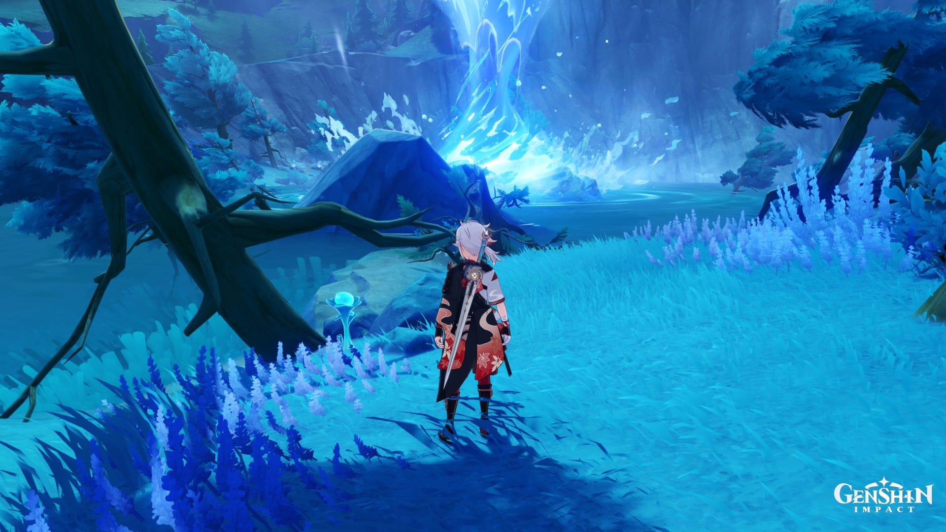 Genshin Impact Lakelight Lily locations and Lakelight Lily farming tips