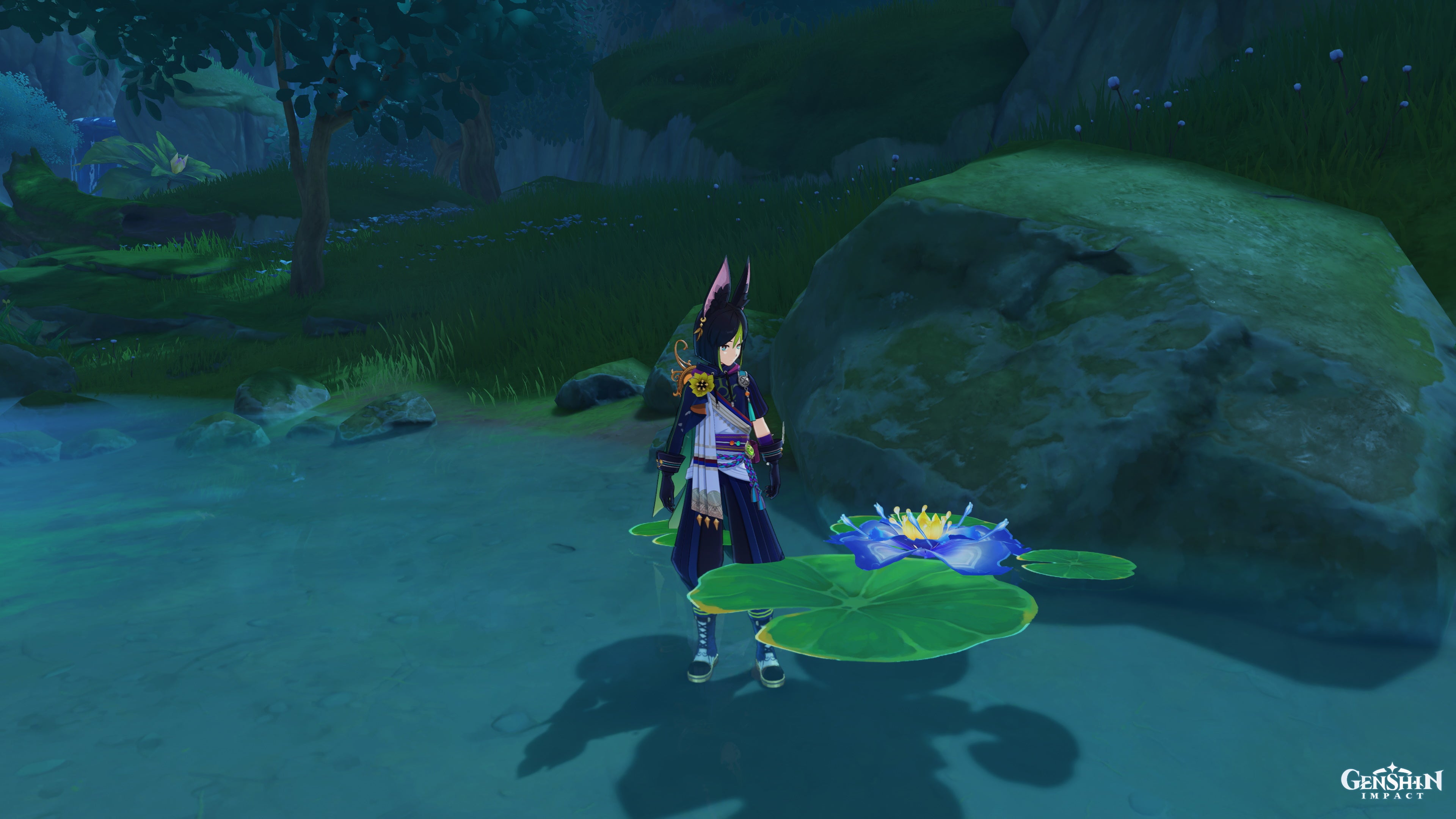 Blue Lotus Flower Witcher 3 Location Best Flower Site