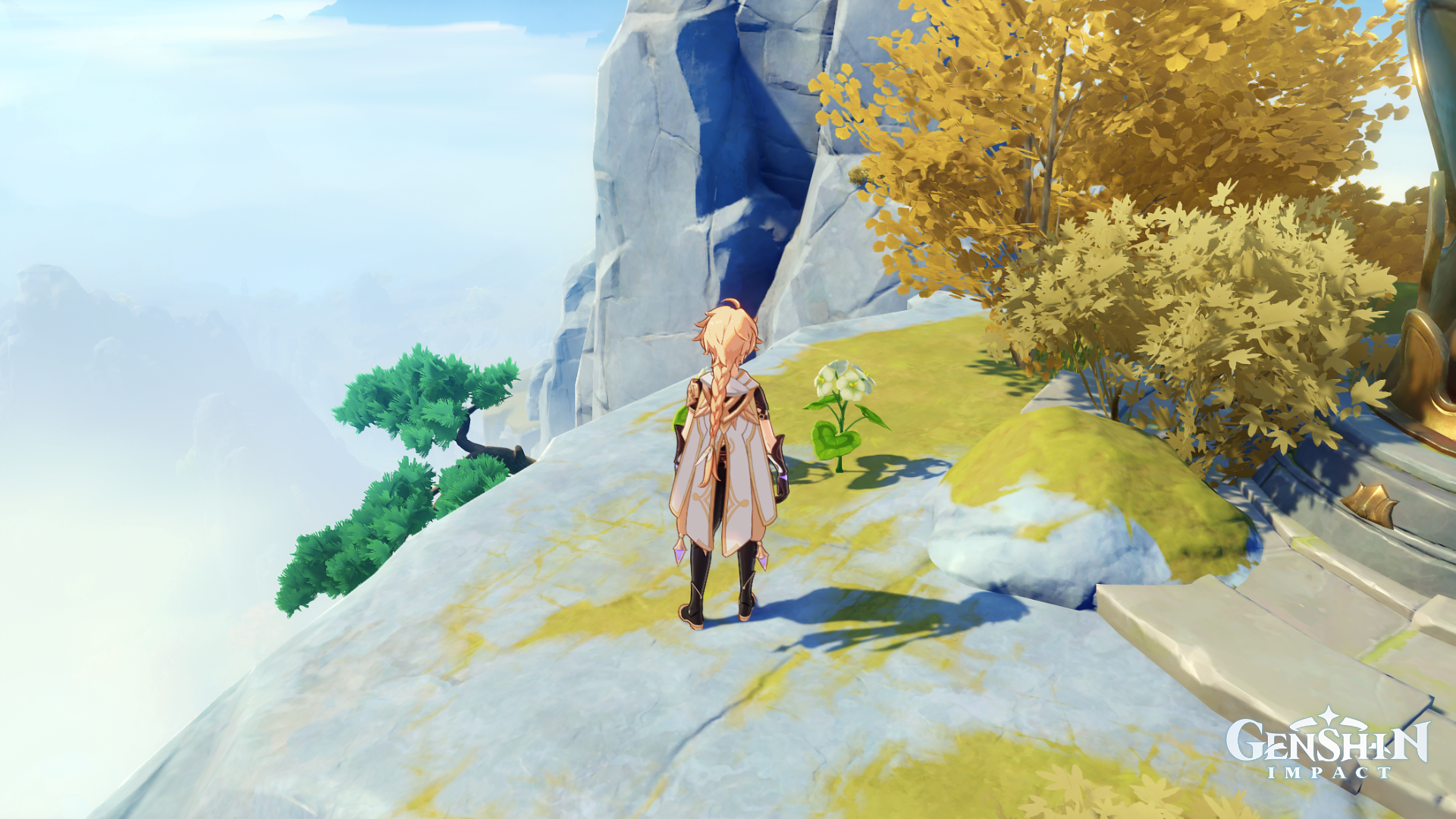 Genshin Impact Qingxin Flower locations and best Qingxin Flower farm route VG247