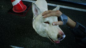 Petting a dog in a Ghostwire: Tokyo screenshot