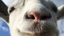 Goat Simulator: se sentite belare, datevela a gambe - recensione
