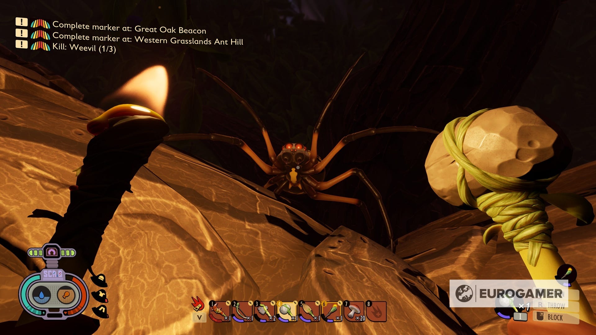 Grounded Spiders How to kill Wolf Spiders and Orb Weavers