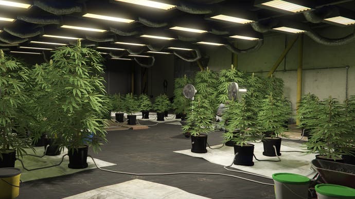 GTA Online Unkraut Farm
