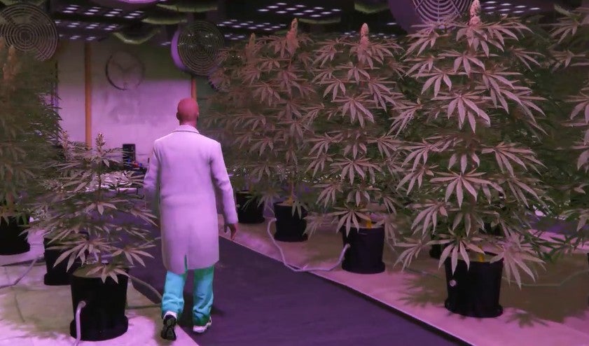 gta300imageweed.jpg?width=1600&height=900&fit=crop&quality=100&format=png&enable=upscale&auto=webp