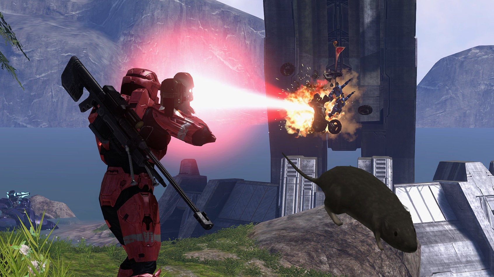 Image for What if Halo 3's multiplayer was flooded with rats, though?