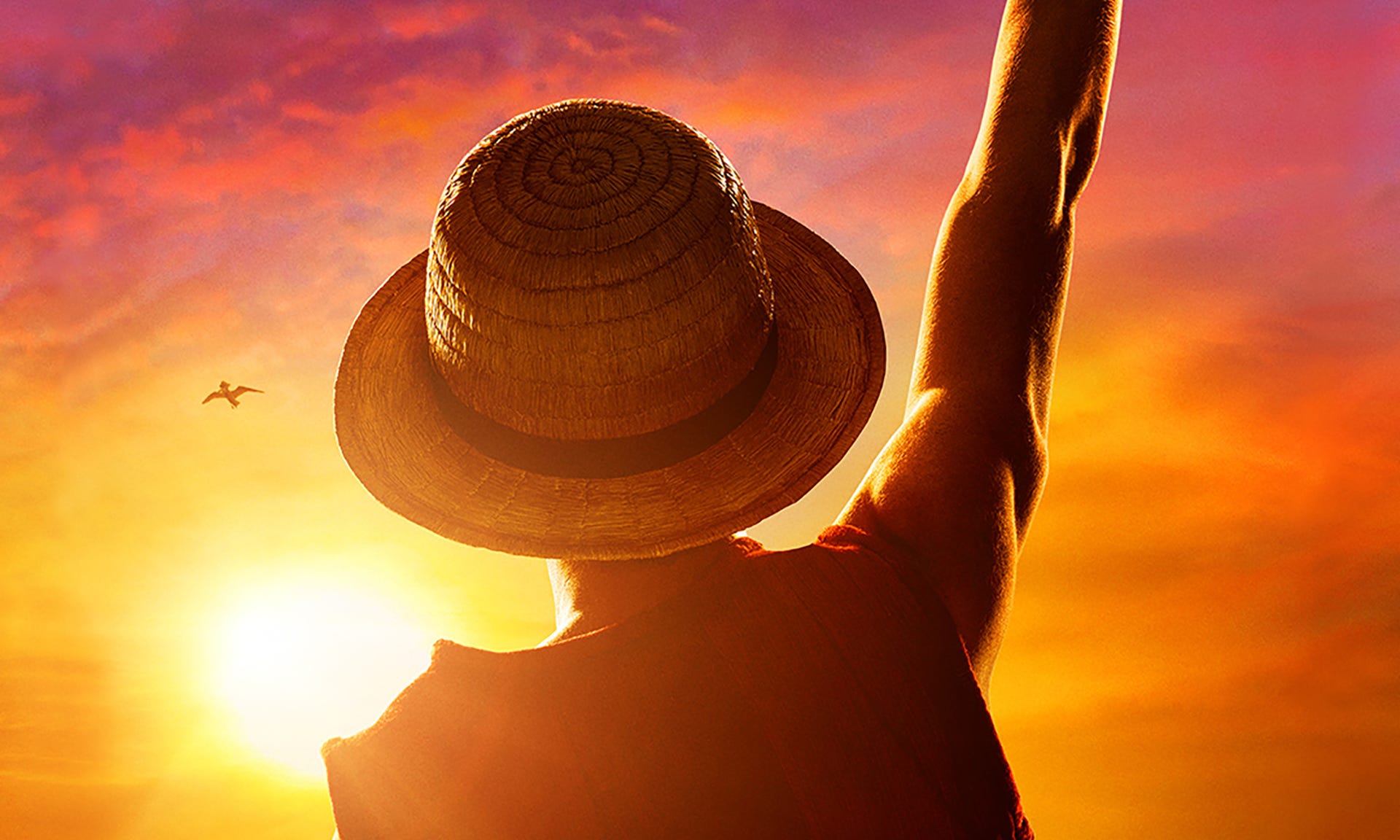 One Piece: Is Netflix's anime adaptation for kids? Look at the age ...