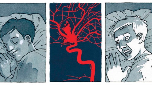 Image for Celebrated Finland cartoonist's graphic memoir about her brain aneurysm (and recovery) is finally coming out in English