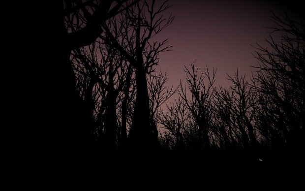 Image for Live Free Play Hard: Itself An Additional Puzzle