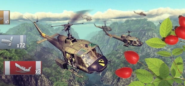 Image for The Flare Path: Battleships, Gunships, Rosehips