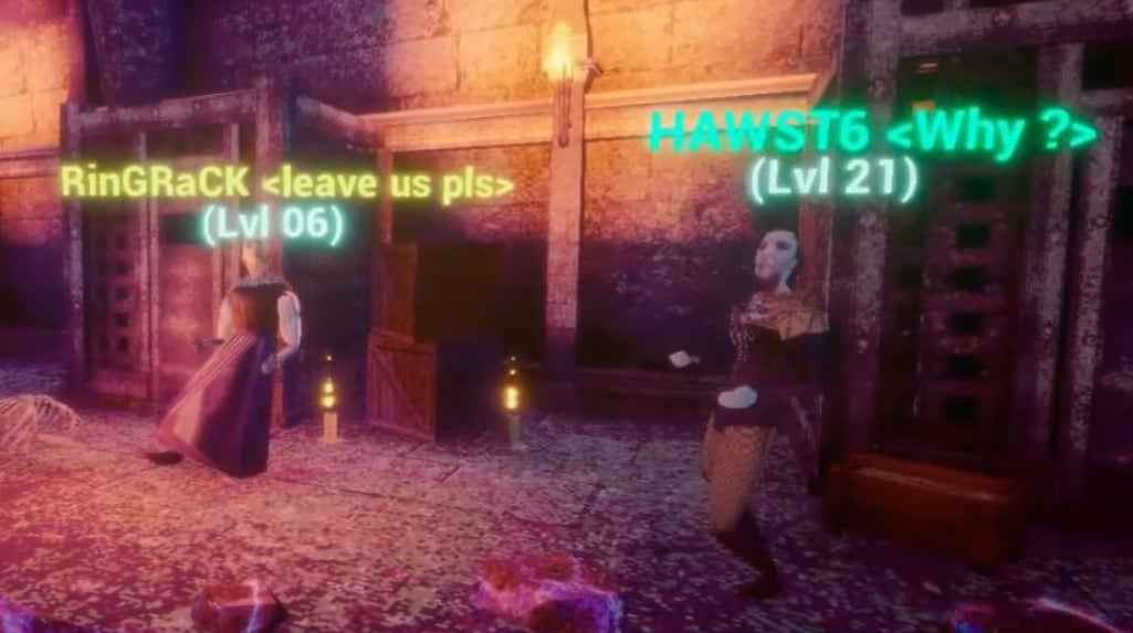 Hitflesh - A trailer screenshot of two old MMO looking characters. One named "HAWST6" with the guild tag "why?" and another named "RinGRacK" with the guild title "leave us pls"