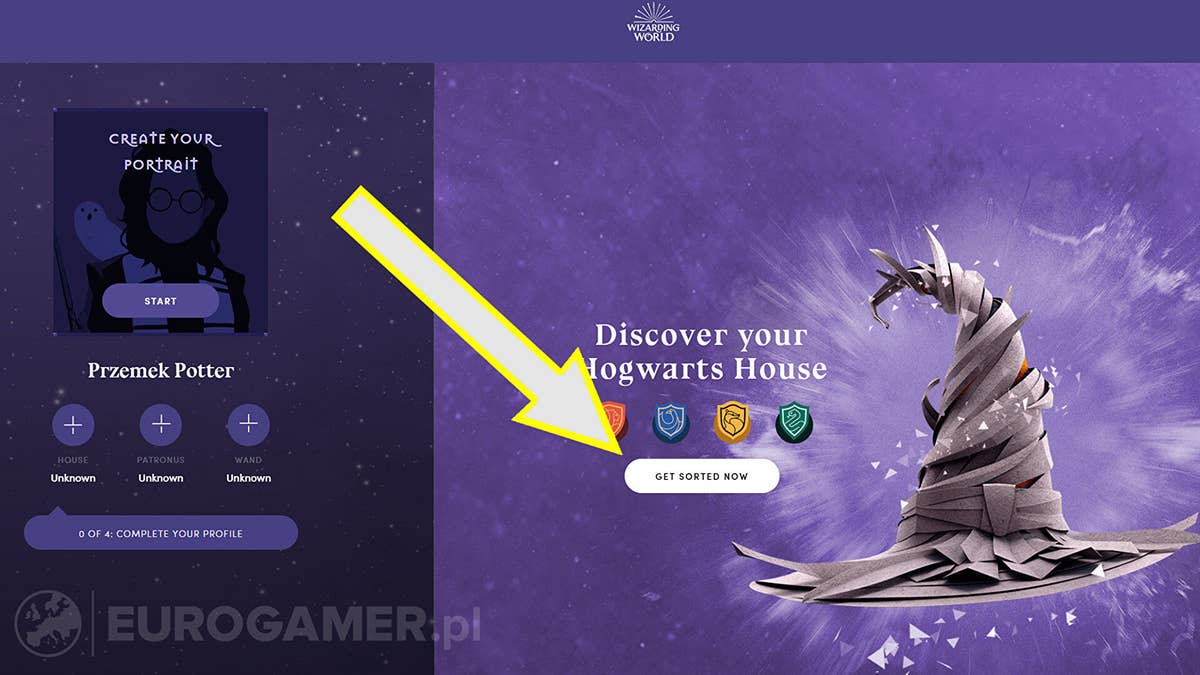 Características dos Corvinais Harry potter quiz, Harry potter ravenclaw, Ravenclaw