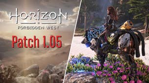 Image for Horizon Forbidden West Patch update 1.05 fixes graphics issues and more - full PS5/PS4 patch notes
