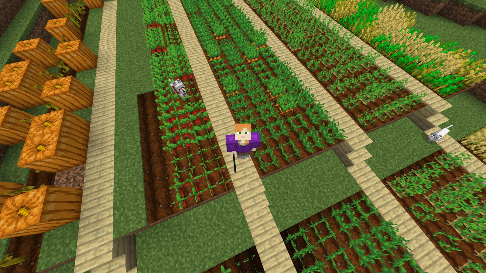 Small Minecraft Carrot Farm