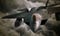 Ace Combat 7: Skies Unknown screenshot