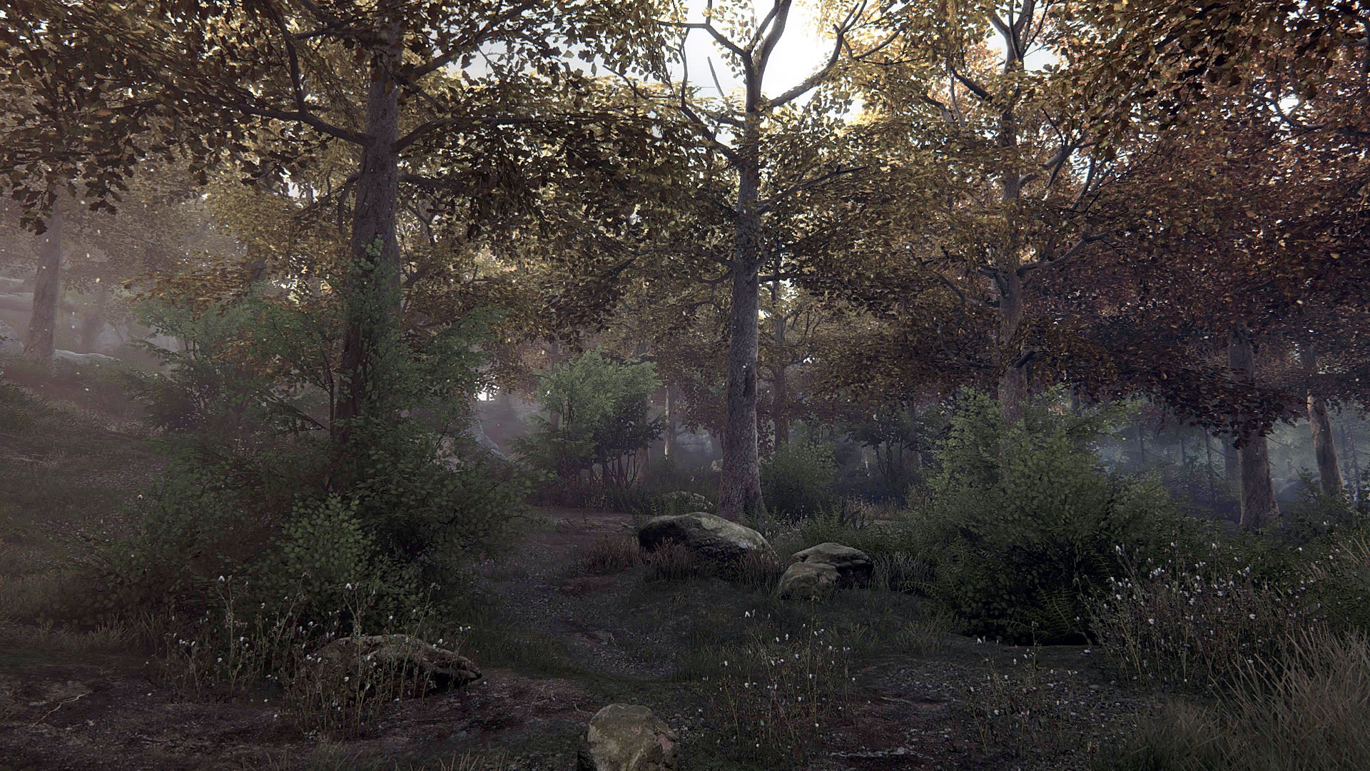 Fall Color Video Games Video games and the change of autumn | Eurogamer.net