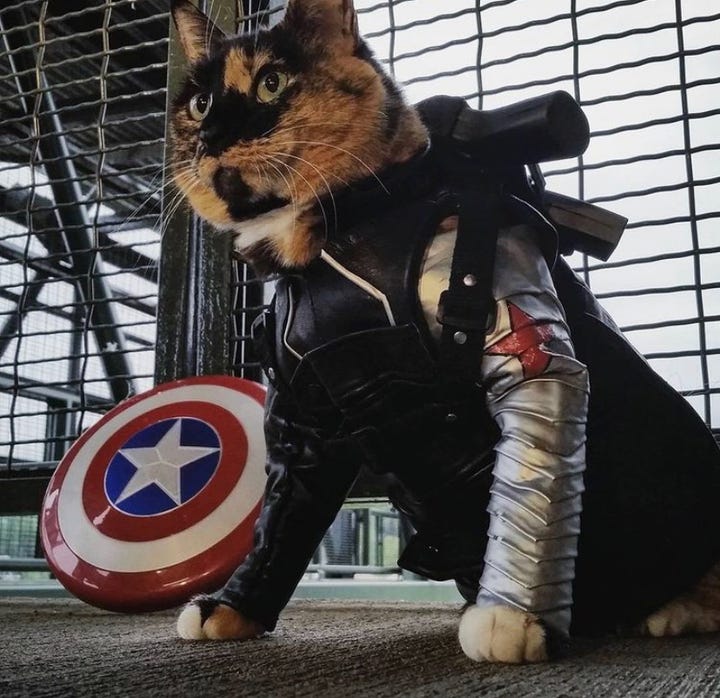 Winter Soldier Cosplays