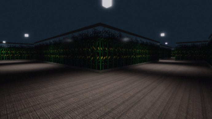 An empty corn maze at night, as imagined in Roblox.