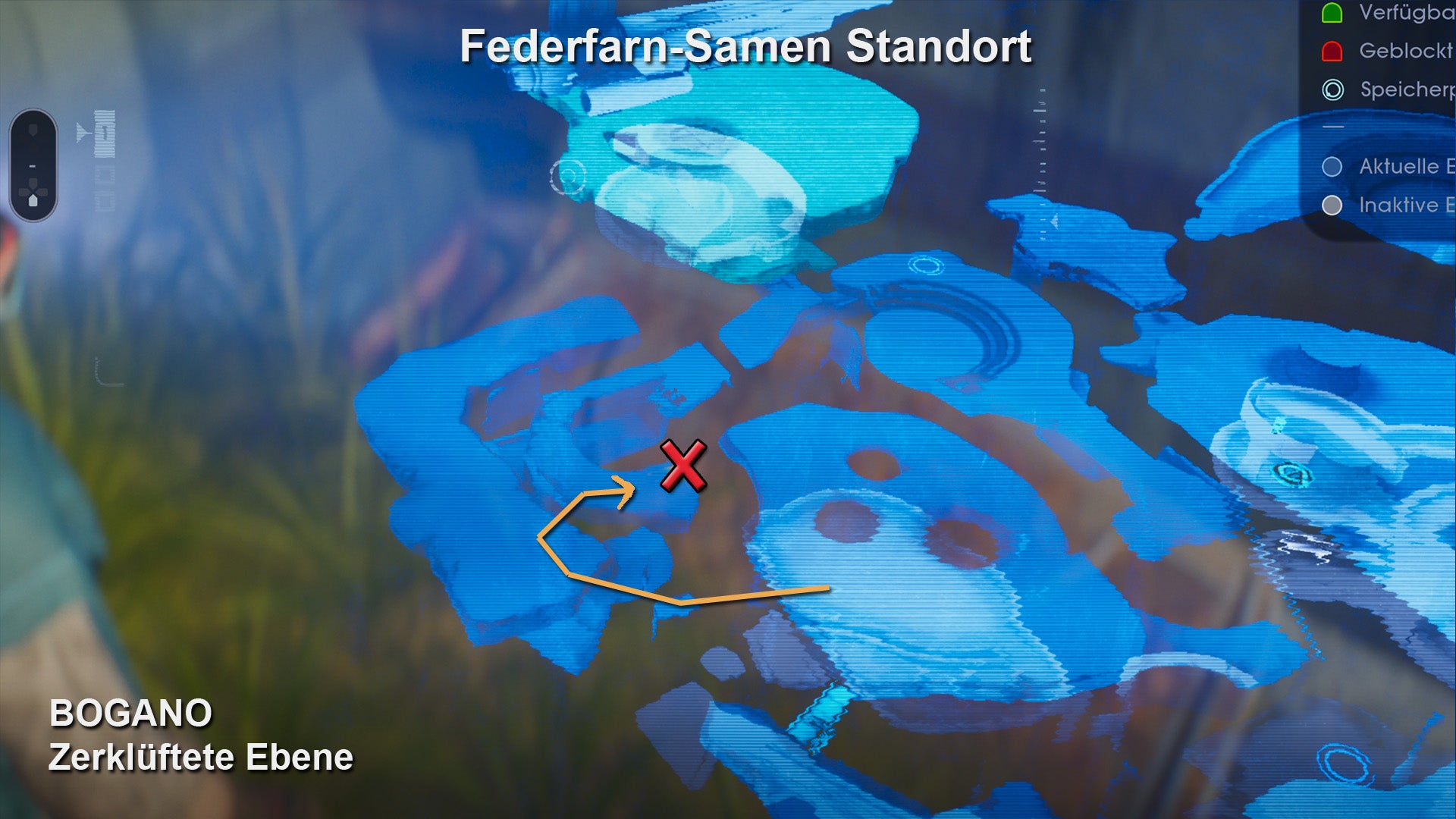 Star Was Jedi Fallen Order Alle TerrariumSamen und ihre genauen