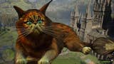 Hogwarts Legacy: Überlegt euch lieber zweimal, ob ihr die Katzen streicheln wollt
