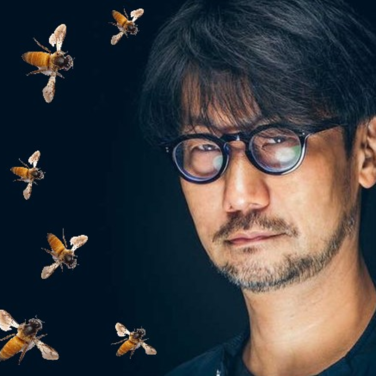 Hideo Kojima was stung by at least 10 bees all at once before