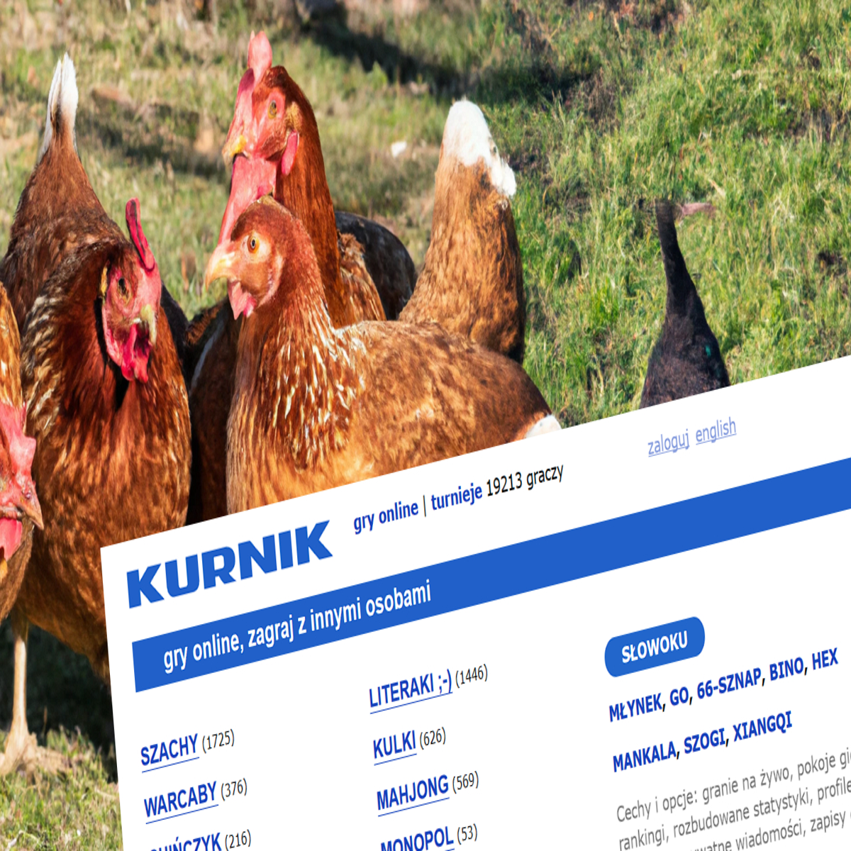 Kurnik.pl - najciekawsze gry i historia jednego z najpopularniejszych  serwisów w Polsce