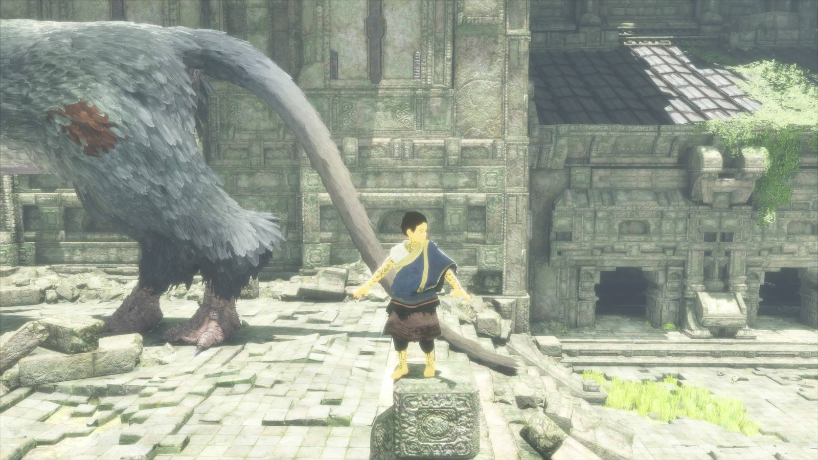 The Last Guardian (Part 24) - The Master of the Valley 
