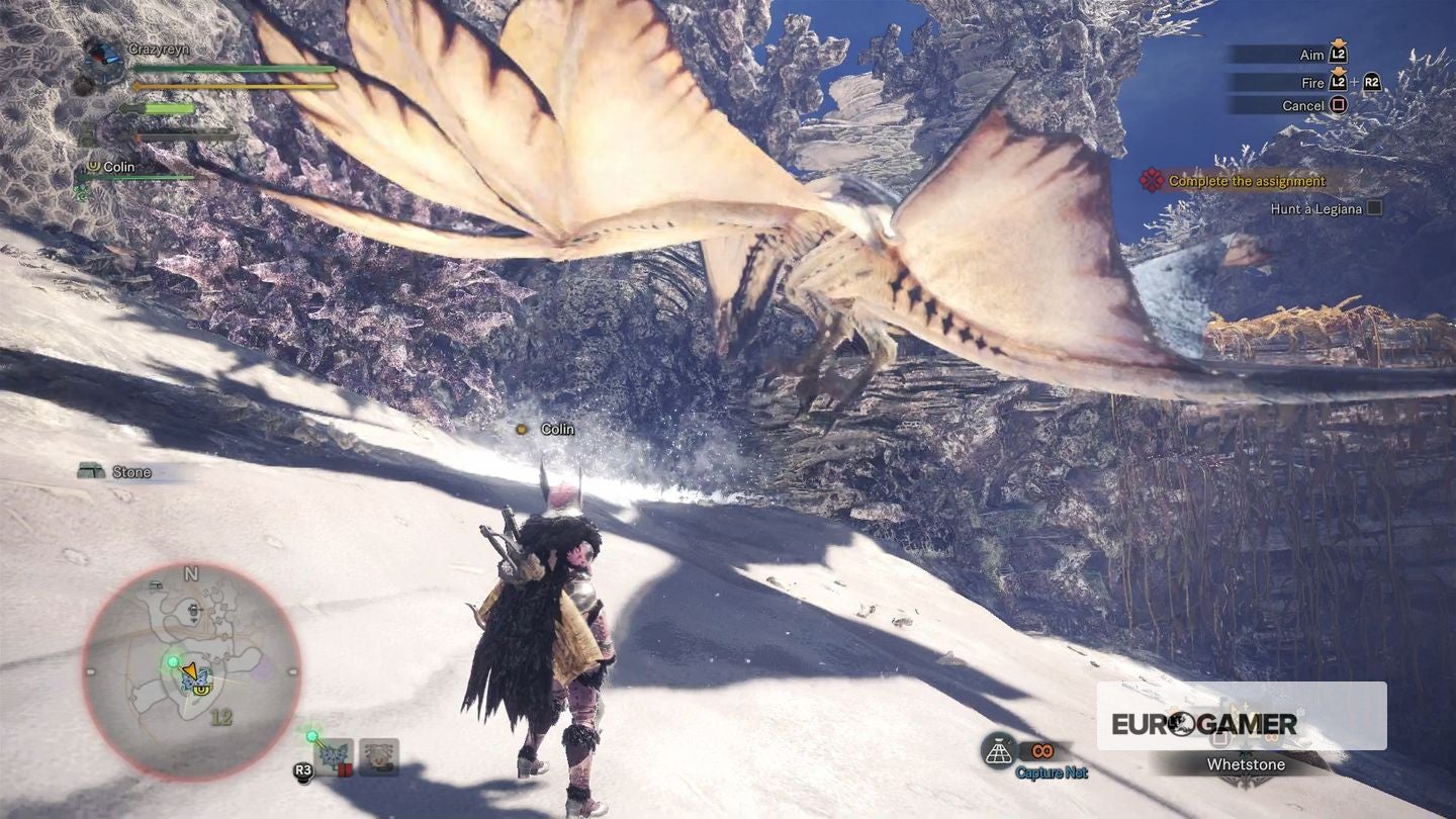 Monster Hunter World Legiana Strategy Legiana Weakness And How To   Leg2 MOyWsxQ 