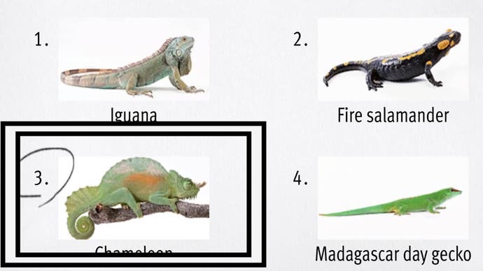 In der unteren linken Ecke wurde wie ein unendlicher Drachen -Reichtum ein Bild eines grünen und orangefarbenen Chamäleon