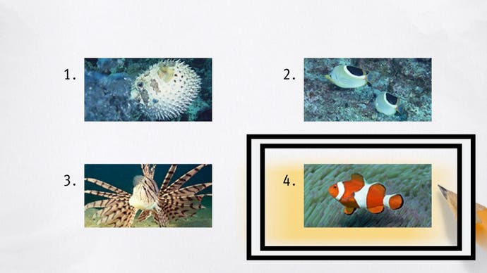 Wie ein unendlicher Drachenreichtum wird ein Clownfisch in einer Reihe von Testantworten umkreist