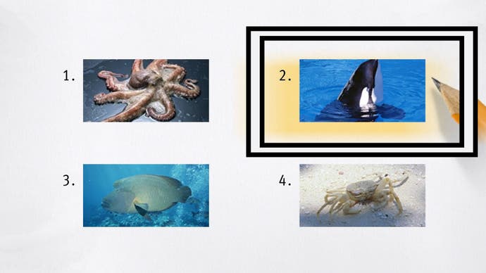 Wie ein unendlicher Drachenreichtum wird ein Bild eines Killerwals in einer Reihe von Testantworten umkreist