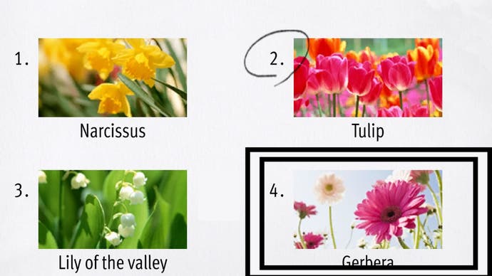 Wie ein unendlicher Drachen, den unendlichen Reichtum, wurden Gerberas - eine Pflanze, die wie ein großer Gänseblümchen aussieht - in einem Test umkreist
