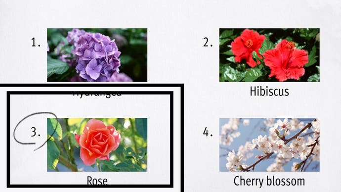 Wie ein Drachen -Unendlicher Reichtum wurde eine Rose unter vier Testantworten umkreist