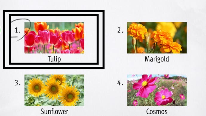 Wie ein unendlicher Drachenreichtum wurden Tulpen unter einer Reihe von Testantworten umkreist