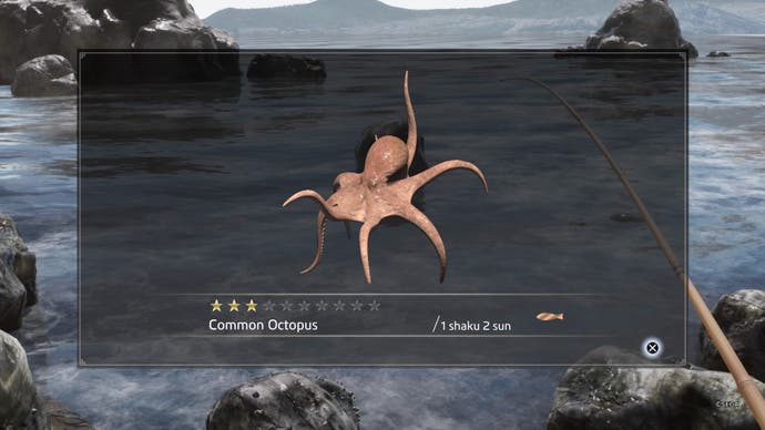 Like a Dragon Ishin, Common Octopus