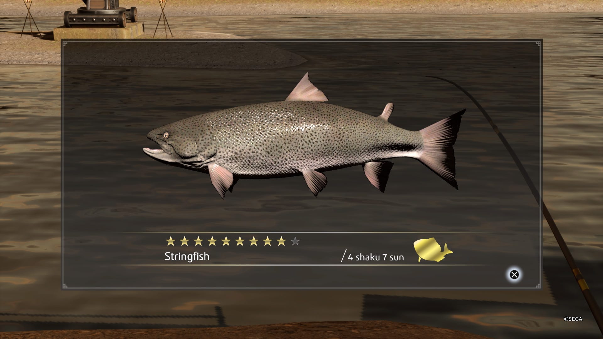 How to Fish in Like a Dragon Ishin, all fish types and how to upgrade ...