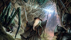 Image for The Lord of the Rings: The Card Game