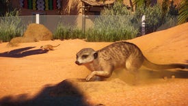Planet Zoo's Africa pack added excellent meerkats today