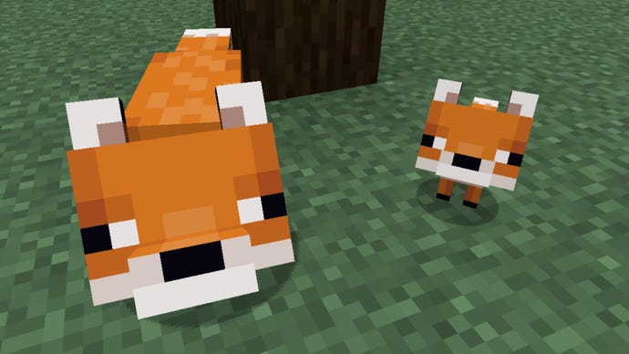 Een Minecraft -screenshot van een volwassen vos en een babyvos die naar de speler kijkt