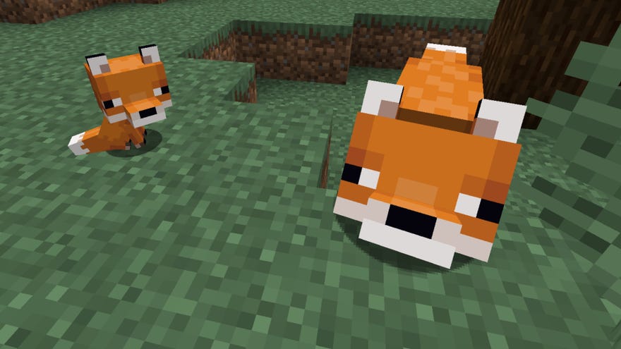 A Minecraft screenshot of an adult fox looking up at the player while a baby fox sits nearby.