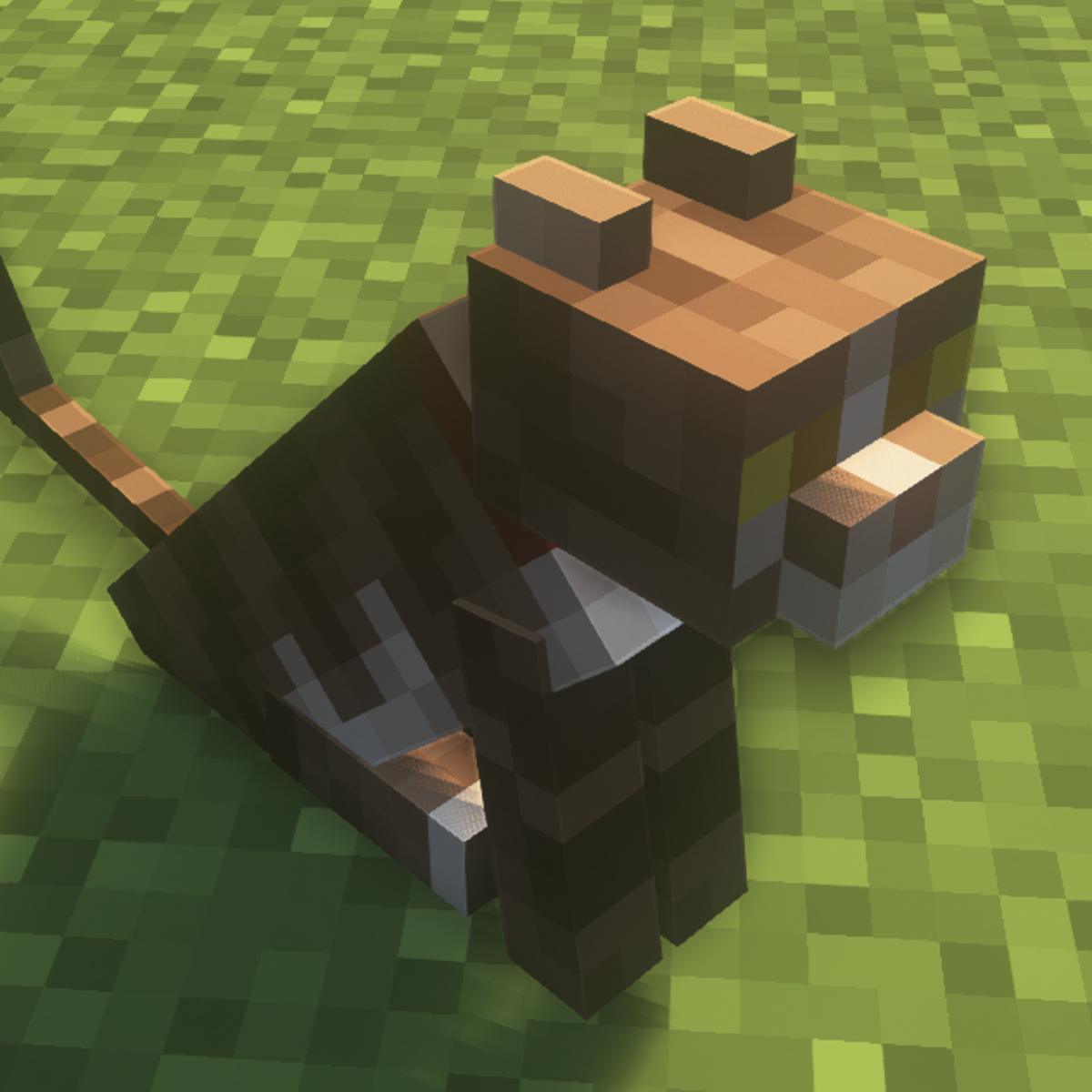 Cat Minecraft